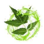 Neem Liquid