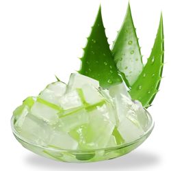 Aloevera Pulp