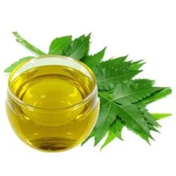 Herbs Oil